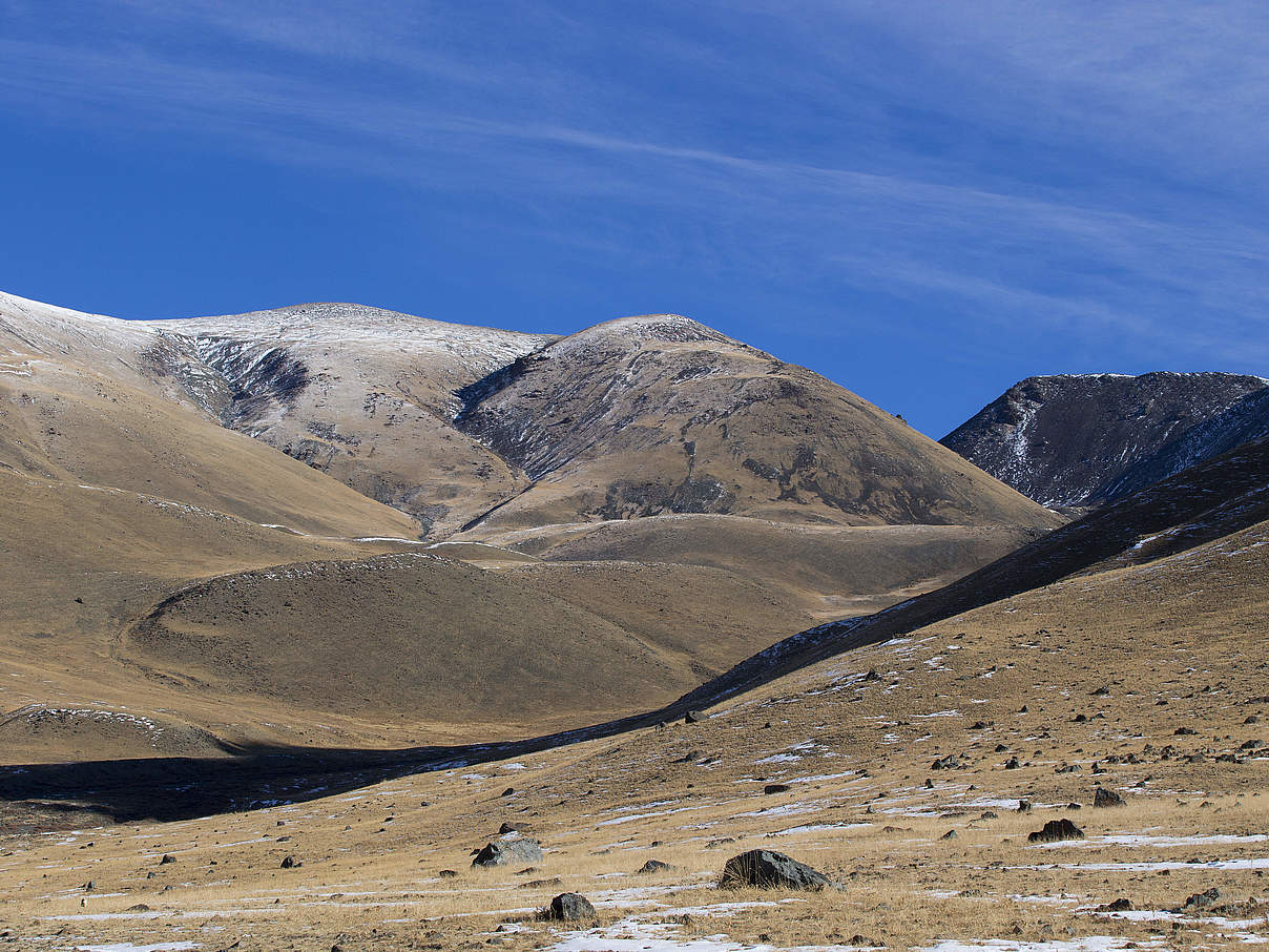Mongolei © Thorsten Milse / WWF