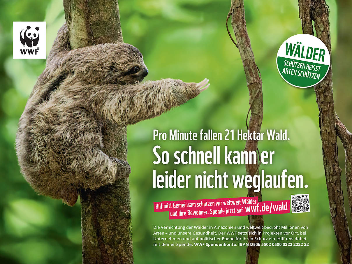Freianzeige des WWF zum Thema Wald © WWF