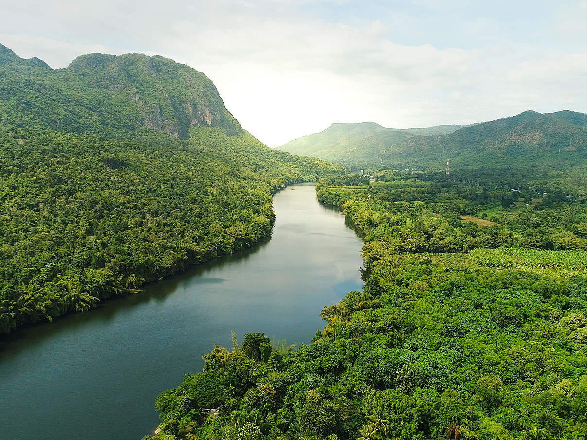 Regenwald in Thailand © iStock / Getty Images