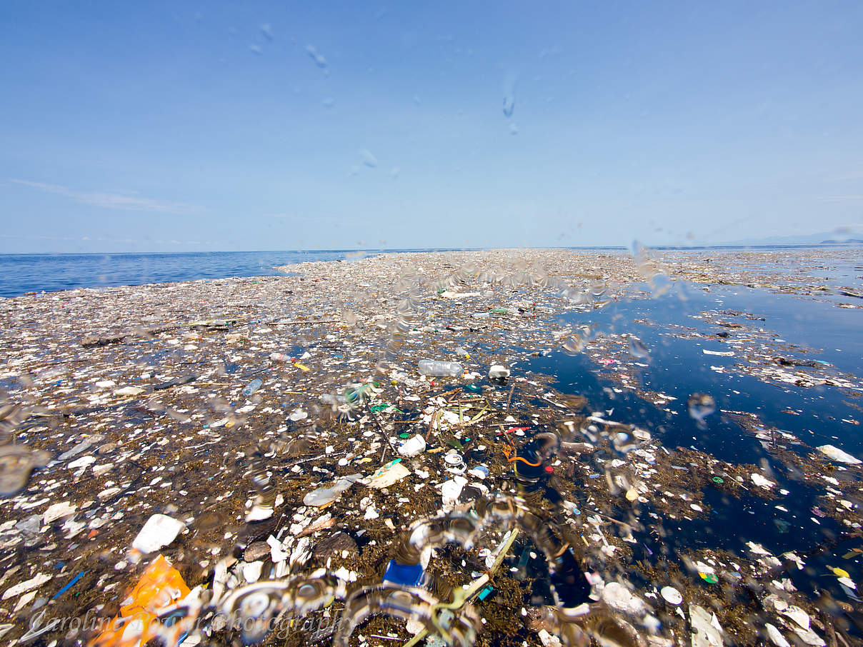 Plastik- und Müllverschmutzung im Meer © Caroline Power