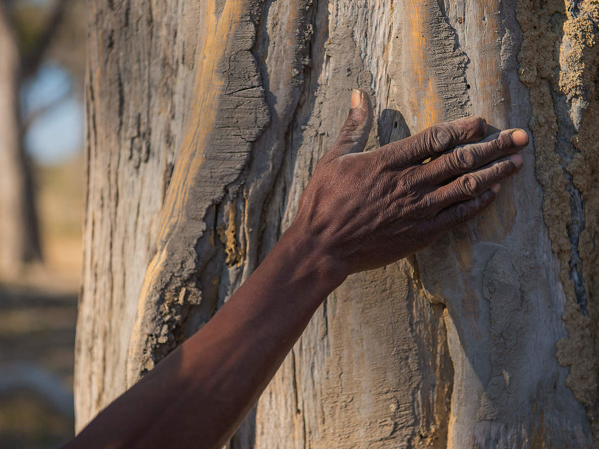 Namibia und die Bedeutung der Khwe © Gareth Bentley / WWF-US