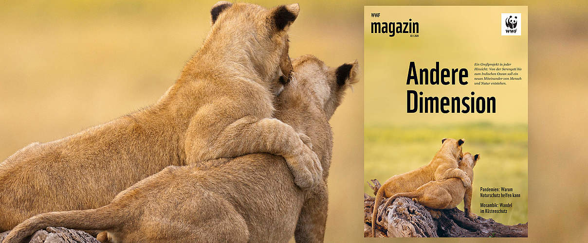 WWF Magazin 03/2020 © juniors@wildlife/Biosphoto