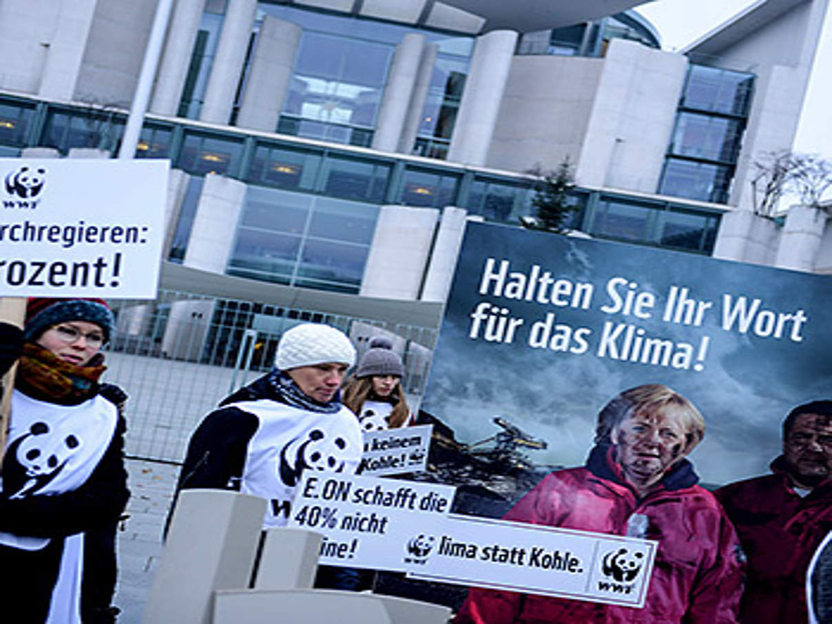 350 Kohledemo c Peter Jelinek WWF