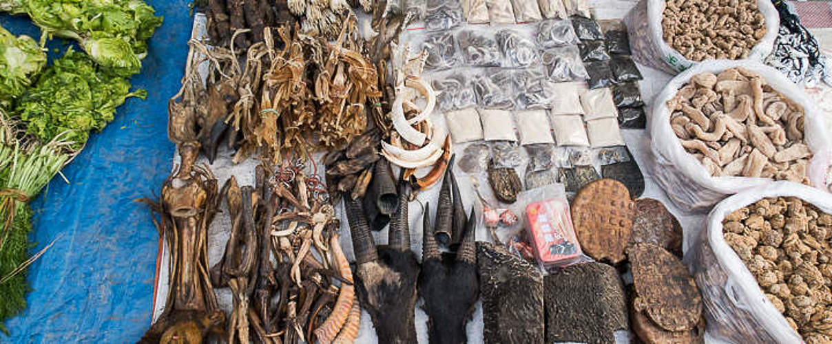 Produkte auf einem Wildtiermarkt in Myanmar © Tom Svenson / WWF Sweden