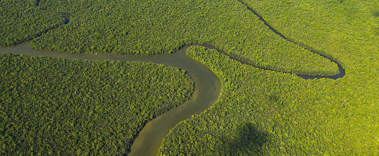 Blick auf die Flusslandschaft des Kinabatangan auf Borneo © naturepl.com / Juan Carlos Munoz / WWF