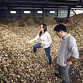 Holzmarkt in China © WWF-US / Zachary Bako