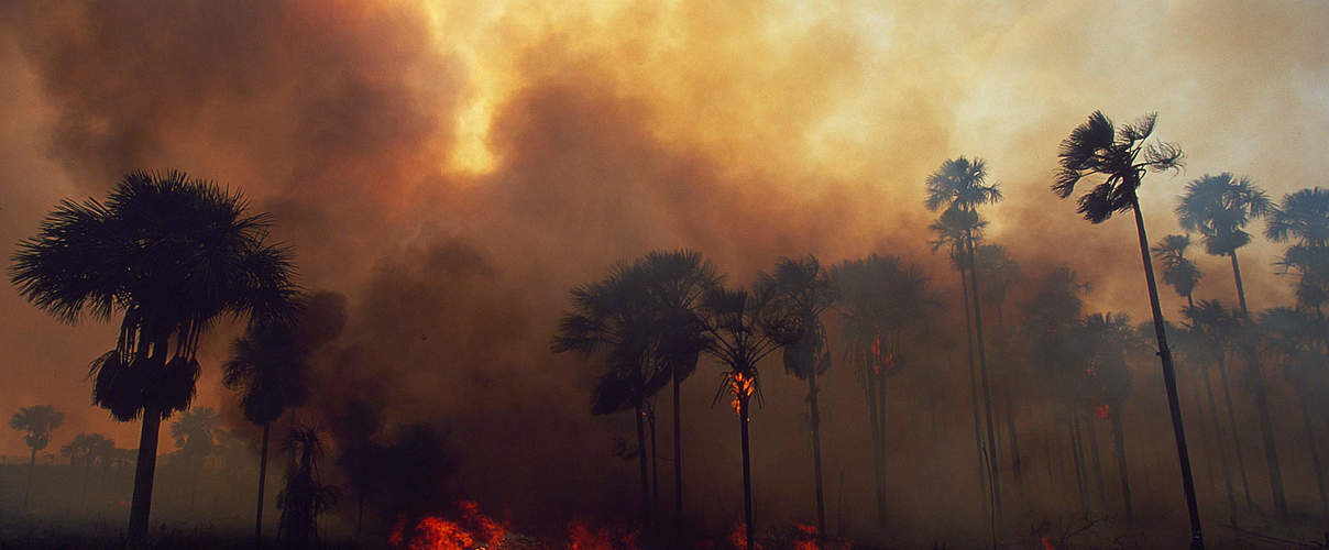 Brand mit starker Rauchentwicklung im Amazonas © Nigel Dickinson / WWF