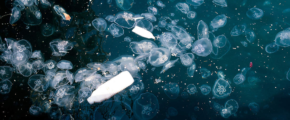 Plastikmüll im Meer neben Quallen © Berkay / iStock / Getty Images