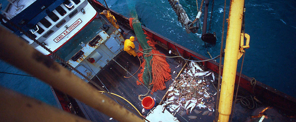 Tiefsee-Trawler © Mike R. Jackson / WWF Canon