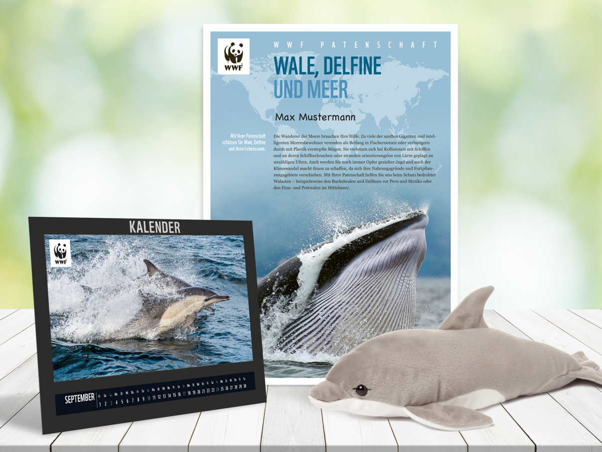 Begrüßungspaket Wal-Delfin-Patenschaft © WWF