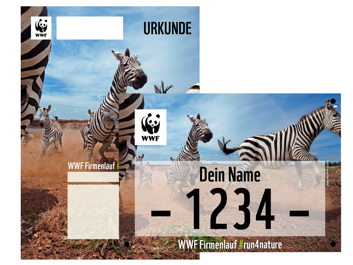 WWF-Firmenlauf: Urkunde und Startnummer © WWF