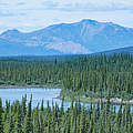 Borealer Wald aus Fichten im Arctic National Wildschutzgebiet in Alaska © imago images / ZUMA Wire