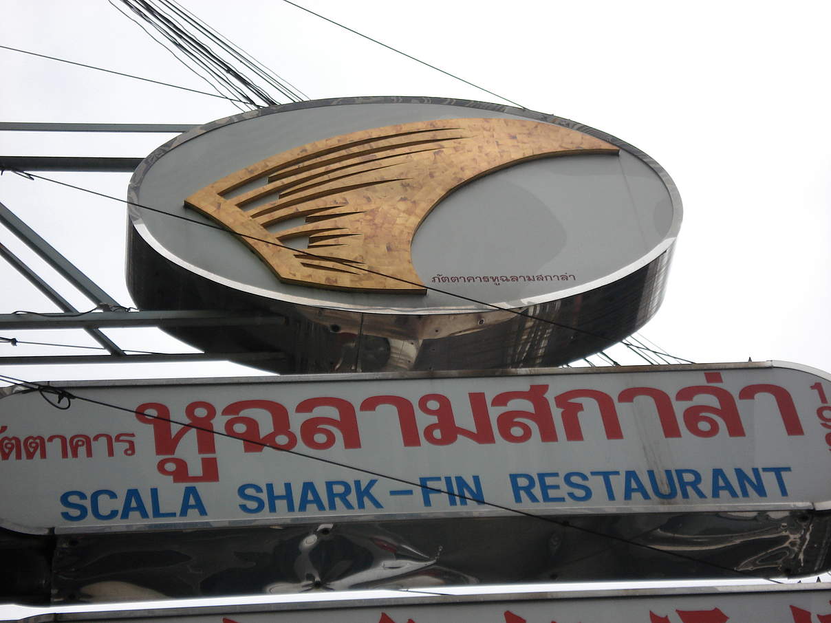 Restaurant für Haifischflossen in Bangkok © Aurelie Cosandey-Godin / WWF-Canada