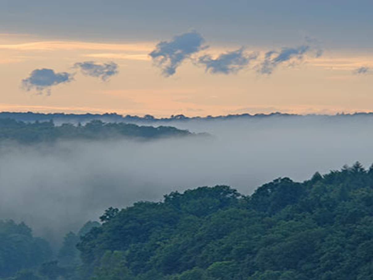 Nebel über dem Handthalgrund im Steigerwald © Thomas Stephan / WWF