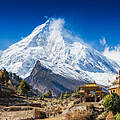 Himalaja © Shutterstock / Olga Danylenko / WWF