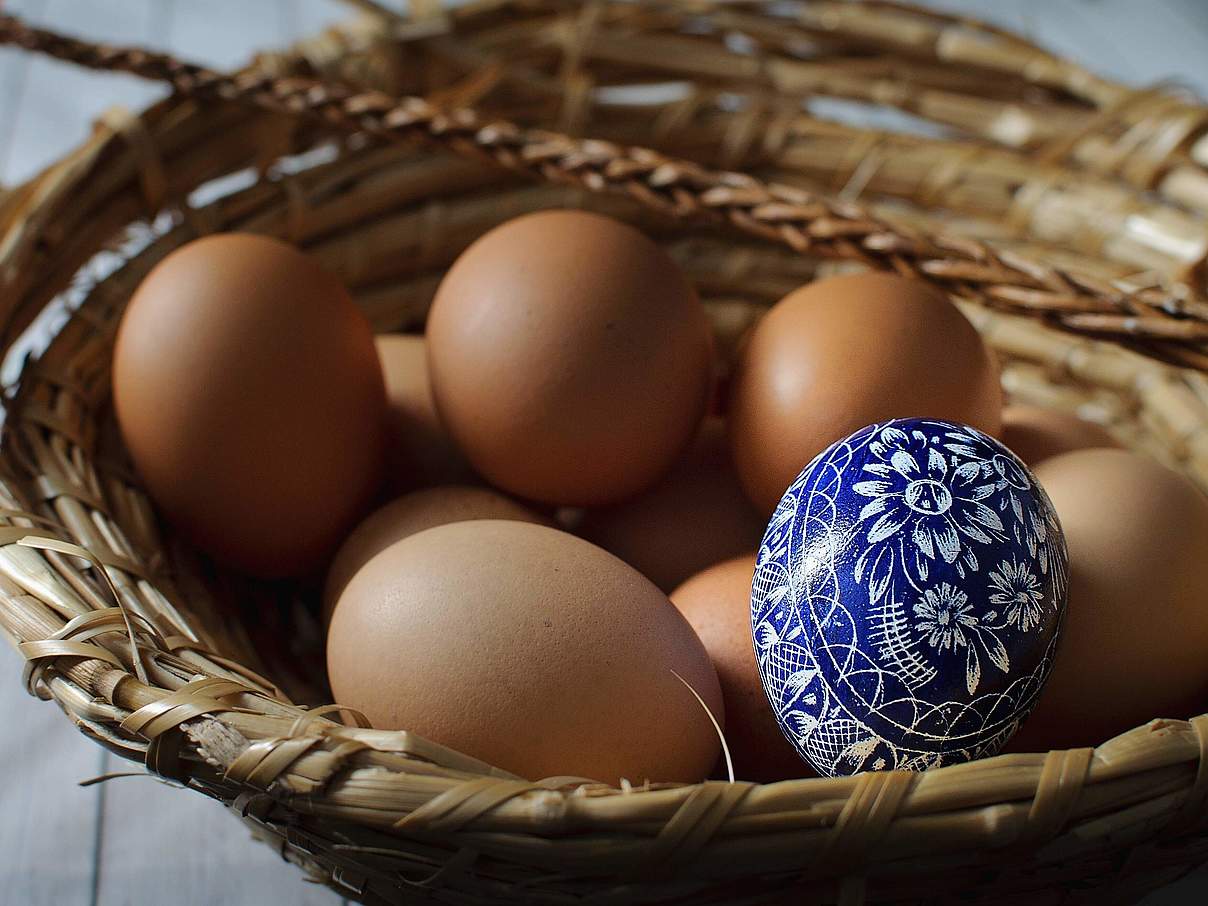 Eier in einem Körbchen © IMAGO CTK Photo
