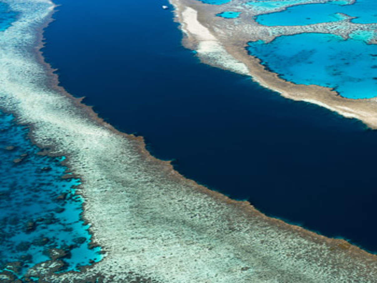 Great Barrier Reef © Welsey Palmer / Getty Images