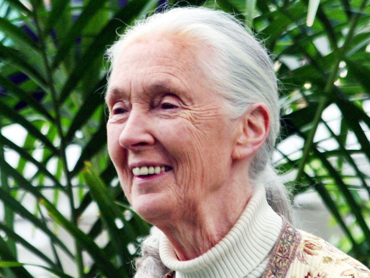 Jane Goodall © Floatjon / CC BY SA 3.0