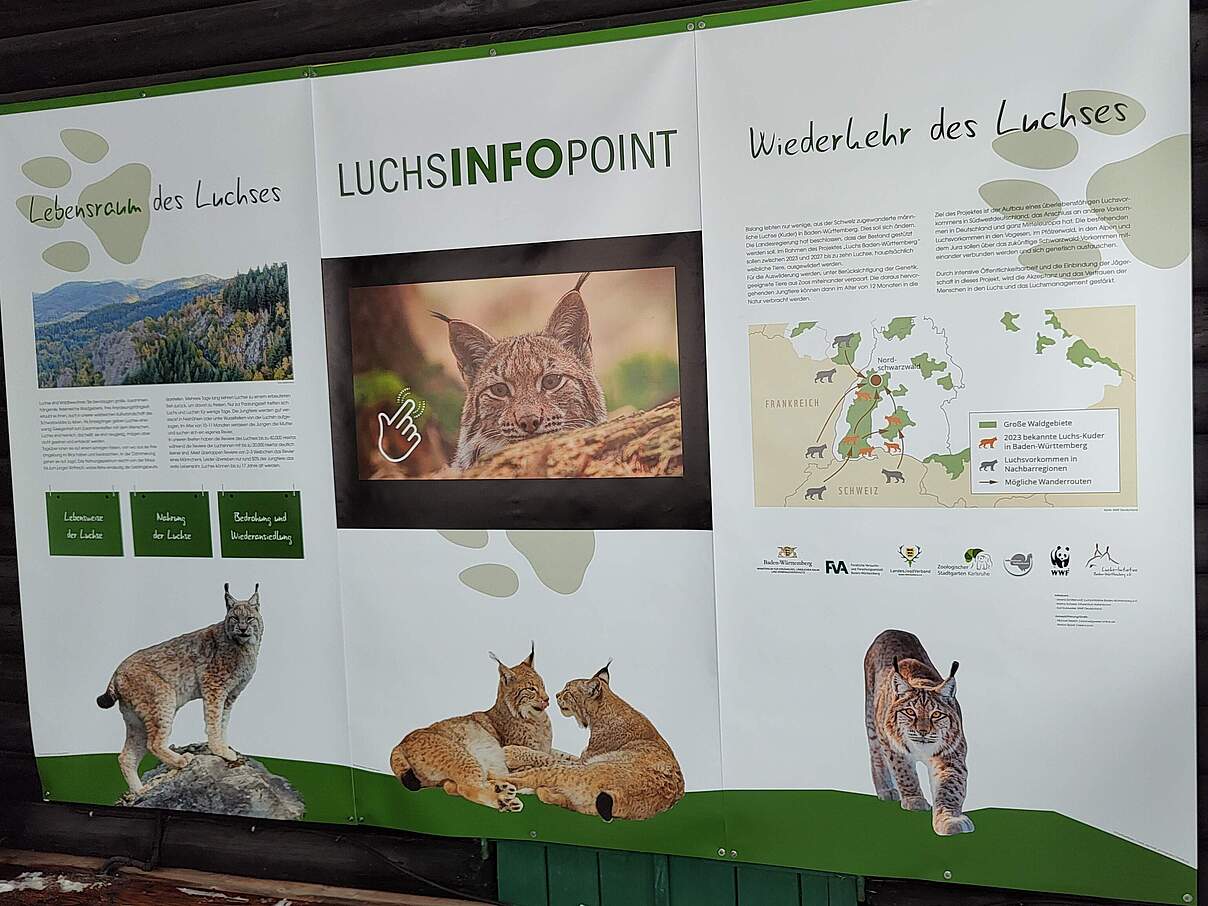 Luchs-Info-Point in Baden-Württemberg © Moritz Klose / WWF