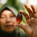 Palmöl ist das Symbol für unsere Konsumgesellschaft © Mazidi Abd Ghani / WWF Malaysia