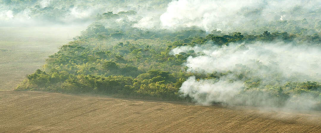 Ein Stück Regenwald, umgeben von Ackerfläche, verbrennt © Days Edge Productions / WWF-US