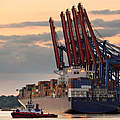 Containerhafen Hamburg © iStock / Getty Images