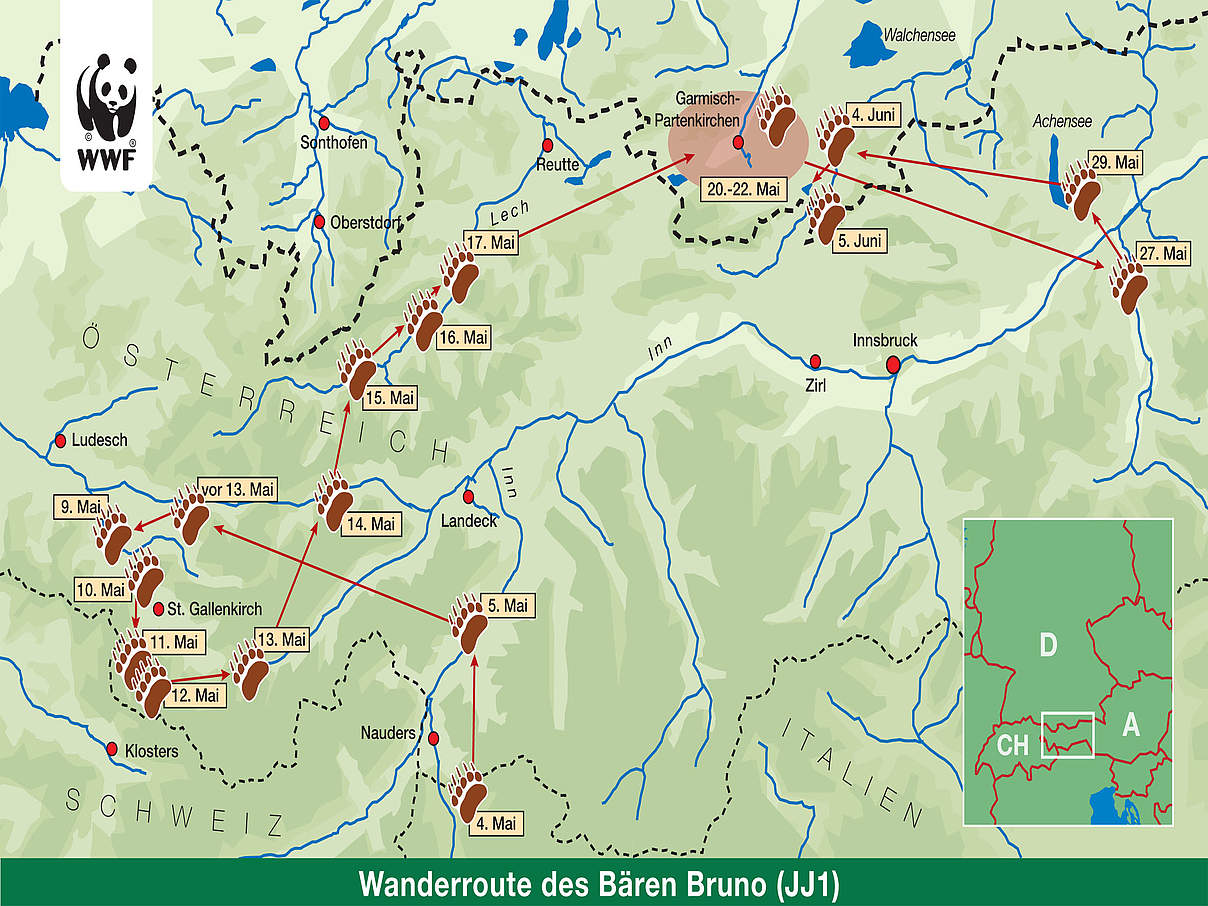 Baerenwanderung JJ1 c WWF © WWF