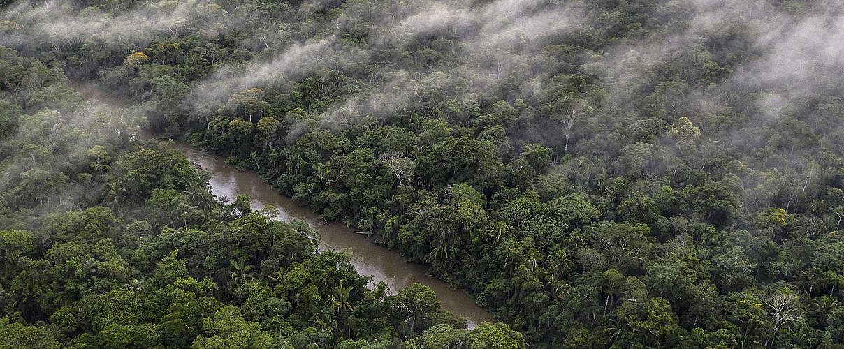 Nebel über Aldeia Jamari im indigenen Land in Rondonia © Marizilda Cruppe / WWF UK