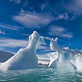Eisberge im Südpolarmeer ©Michael Poliza / WWF 