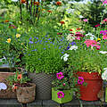Gartenterrasse Blumentoepfe © Vera Petruk iStock Getty Images
