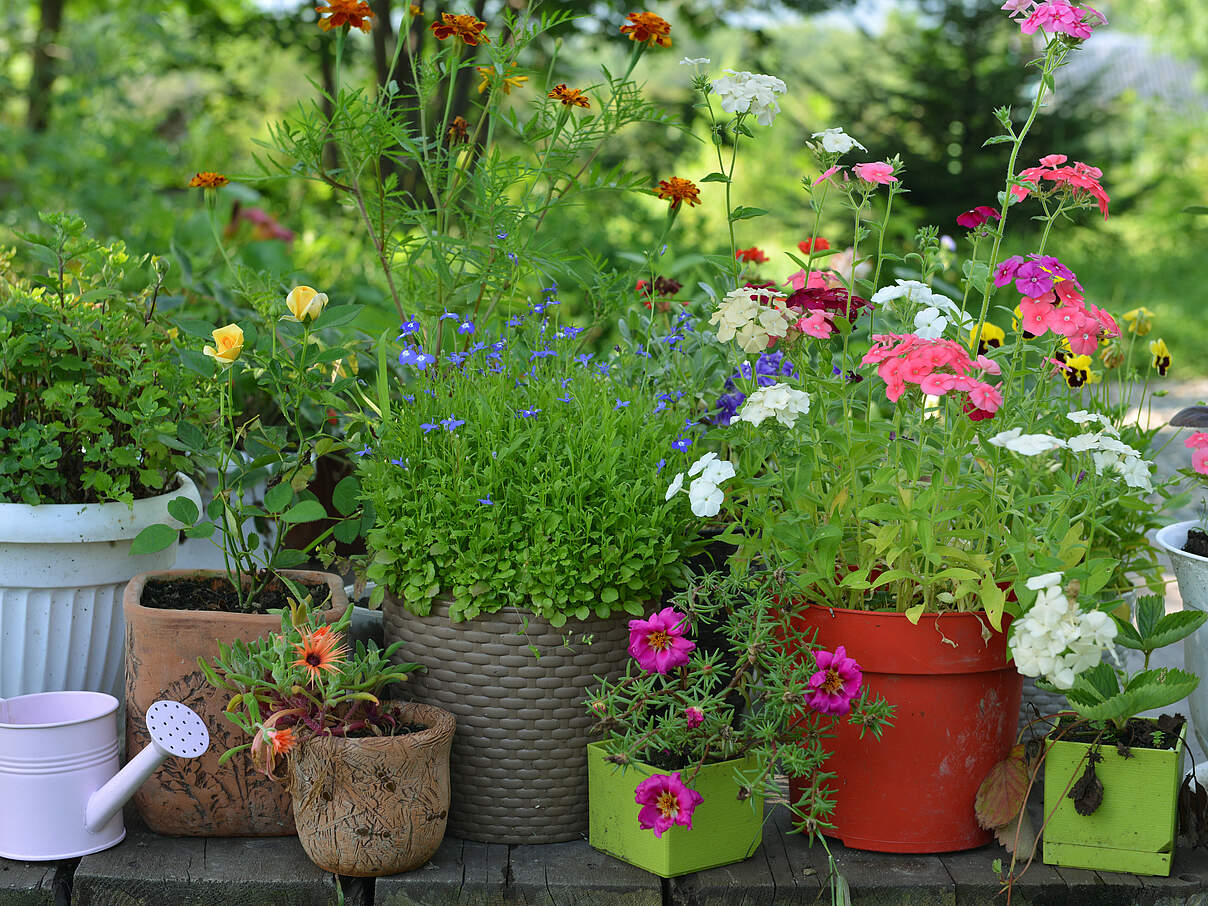 Gartenterrasse Blumentoepfe © Vera Petruk iStock Getty Images