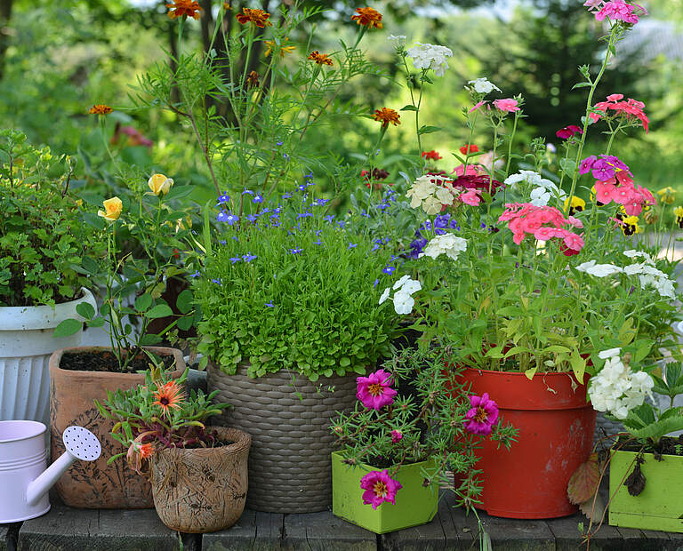 Gartenterrasse Blumentoepfe © Vera Petruk iStock Getty Images