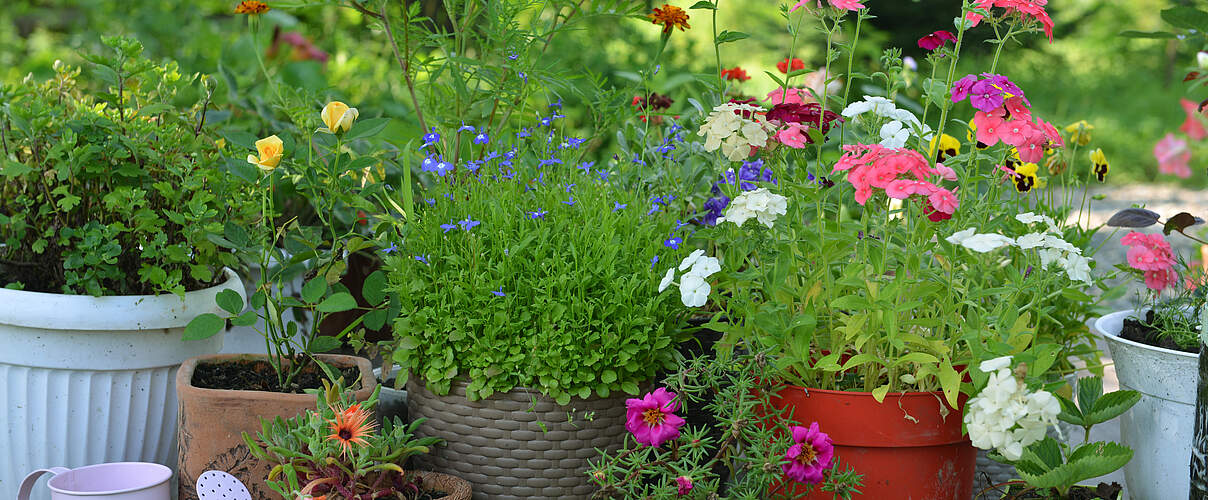 Gartenterrasse Blumentoepfe © Vera Petruk iStock Getty Images