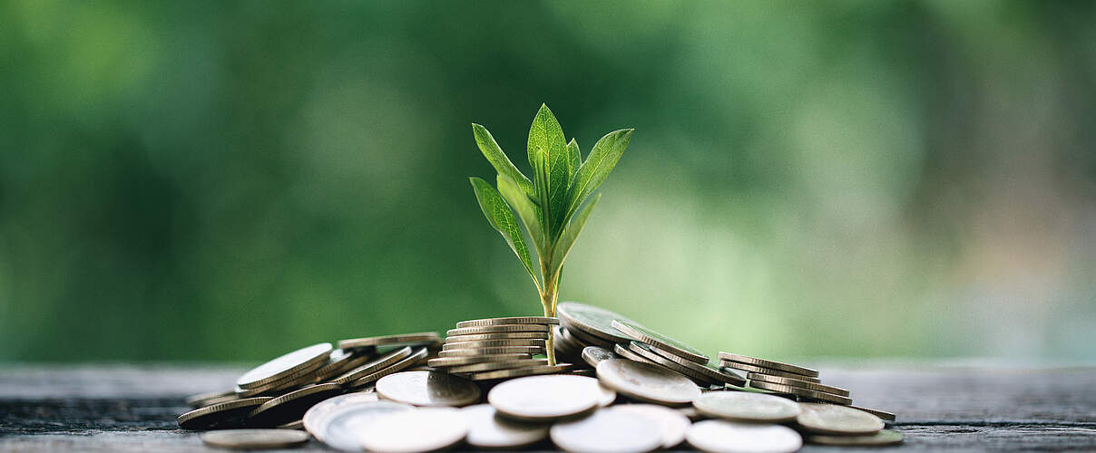 Nachhaltiges Geld 