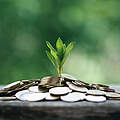 Nachhaltiges Geld 