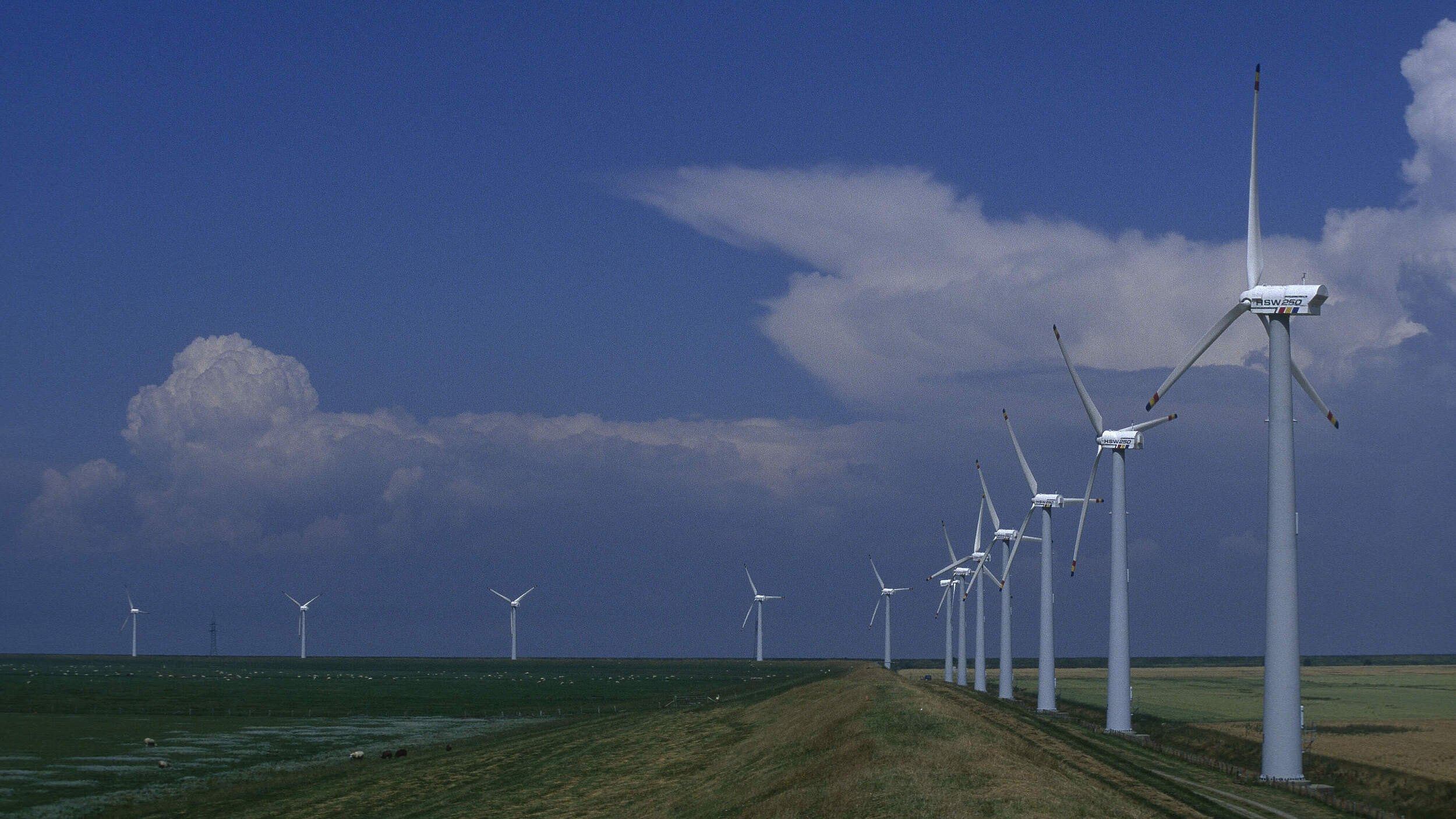 Windräder am Wattenmeer 