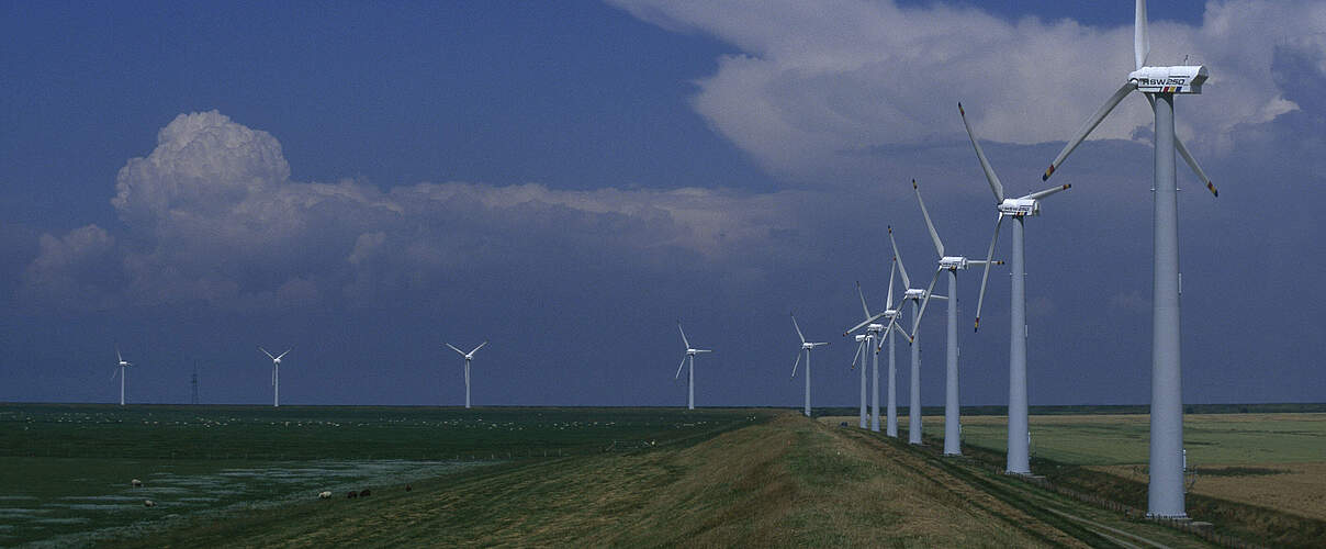 Windräder am Wattenmeer 