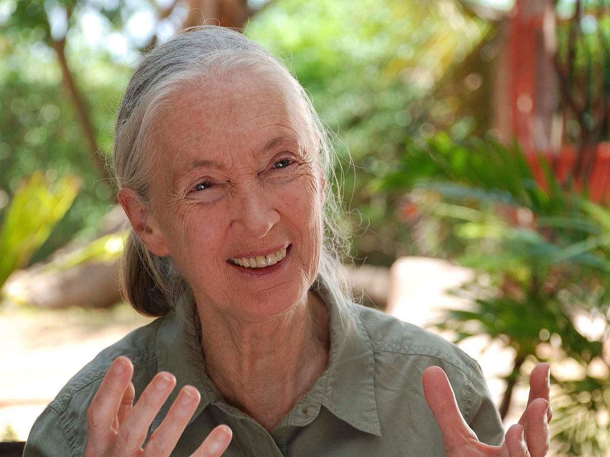 Primatenforscherin Jane Goodall im Interview © Richard Ladkani
