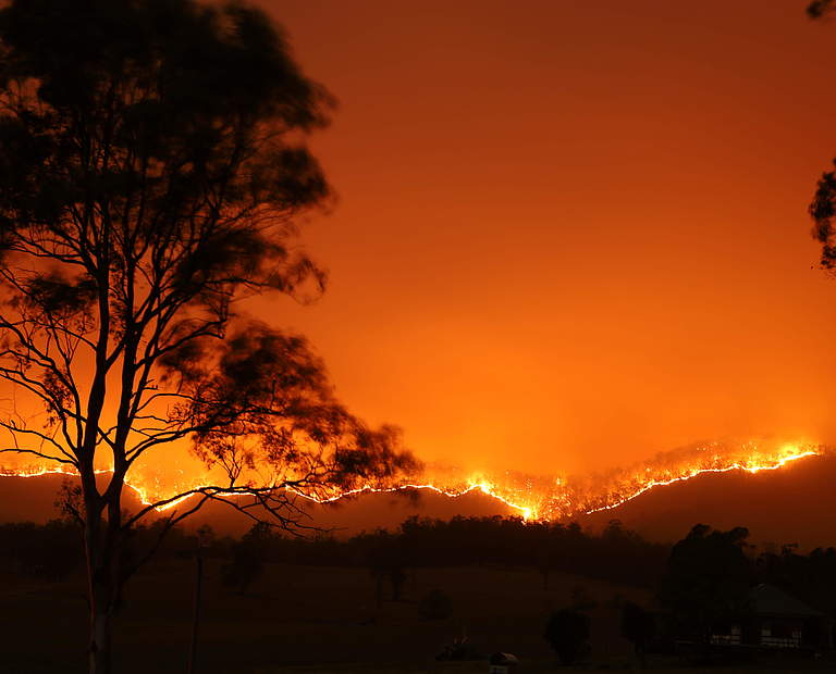 Waldbrand Australien © Adam Dederer / WWF Australia