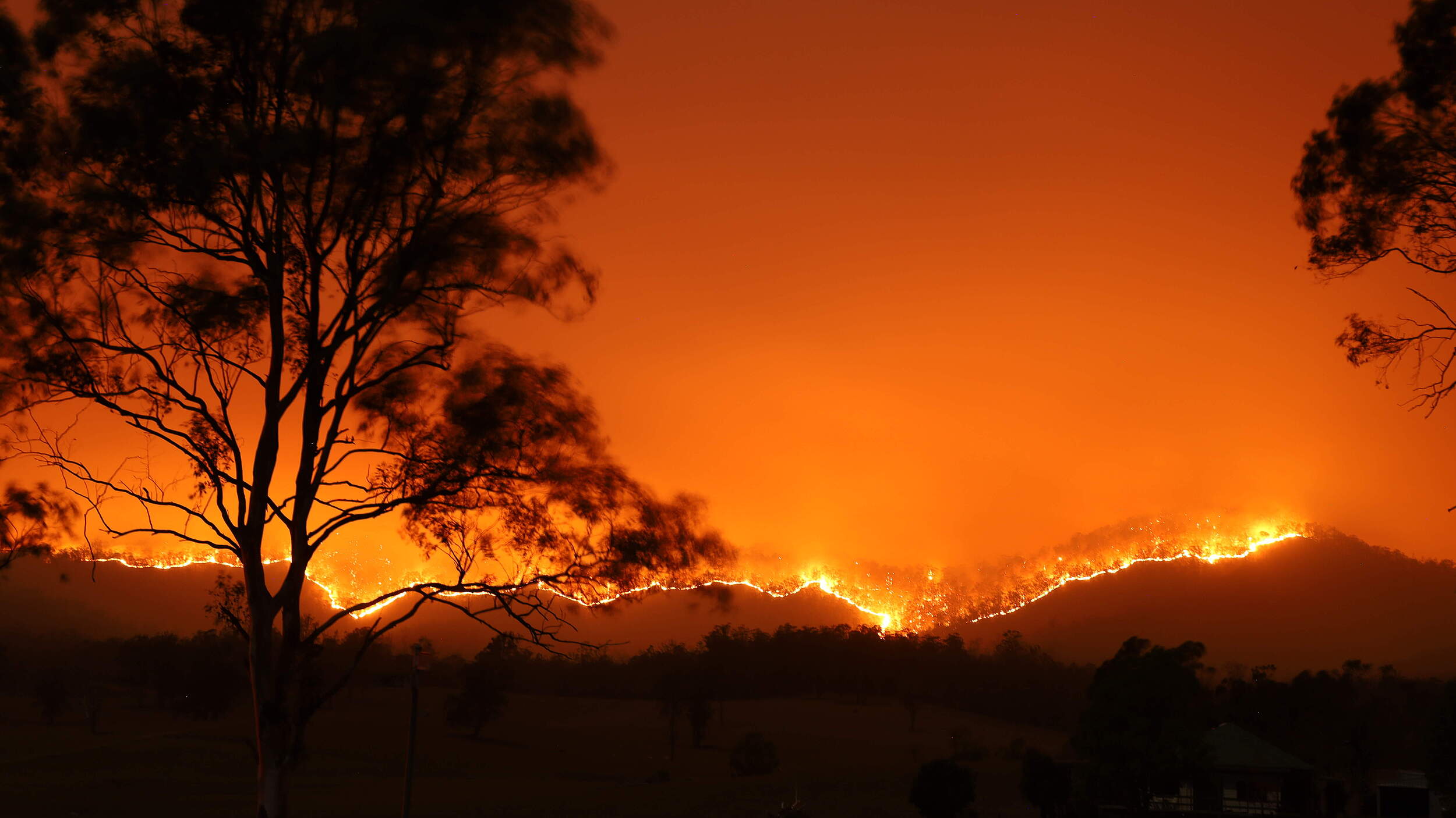 Waldbrand Australien © Adam Dederer / WWF Australia