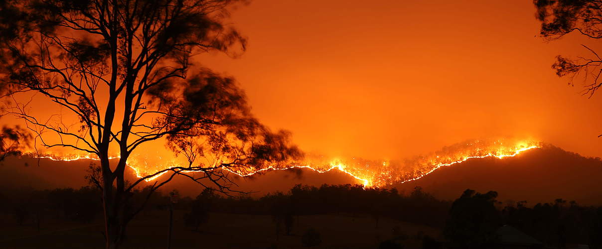 Waldbrand Australien © Adam Dederer / WWF Australia