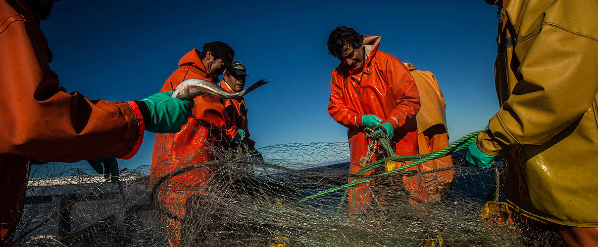 Nachhaltige Fischerei © Meridith Kohut / WWF US