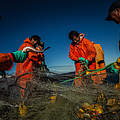 Nachhaltige Fischerei © Meridith Kohut / WWF US