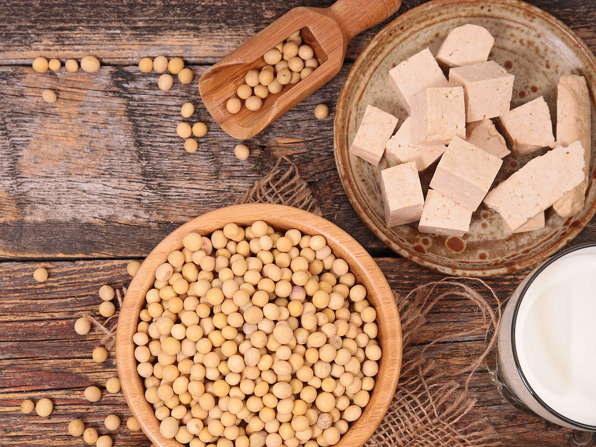 Sojabohnen sind vielfältig verwendbar: Tofu, Soja-Fleisch, Soja-Milch © Margouillatphotos / iStock GettyImages