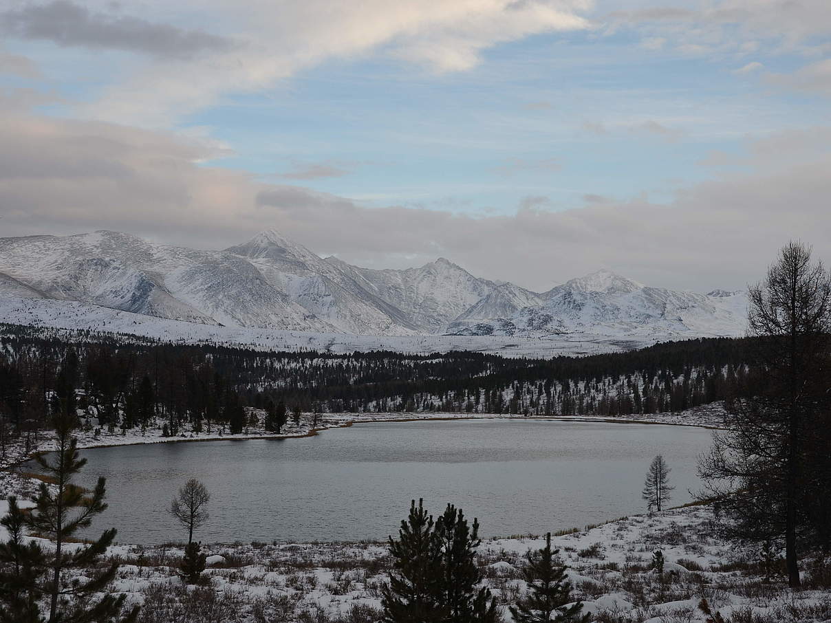 Ökoregion Altai Sayan in Russland © Femke Hilderink / WWF-Niederlande
