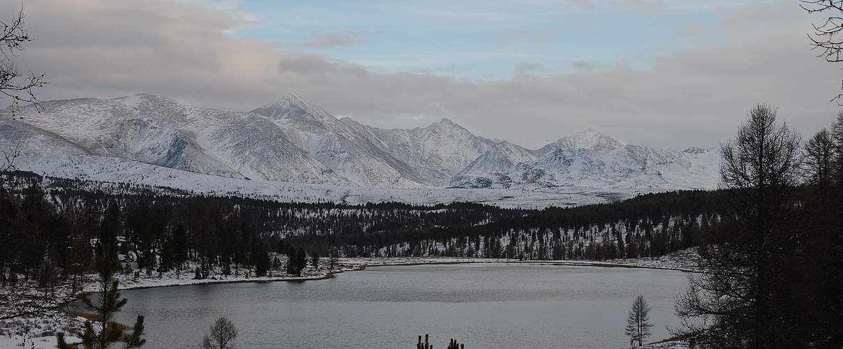 Ökoregion Altai Sayan in Russland © Femke Hilderink / WWF-Niederlande