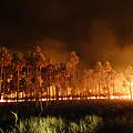 Feuer in Bolivien © Suri Rolando Cabrera Barea / WWF Brasilien