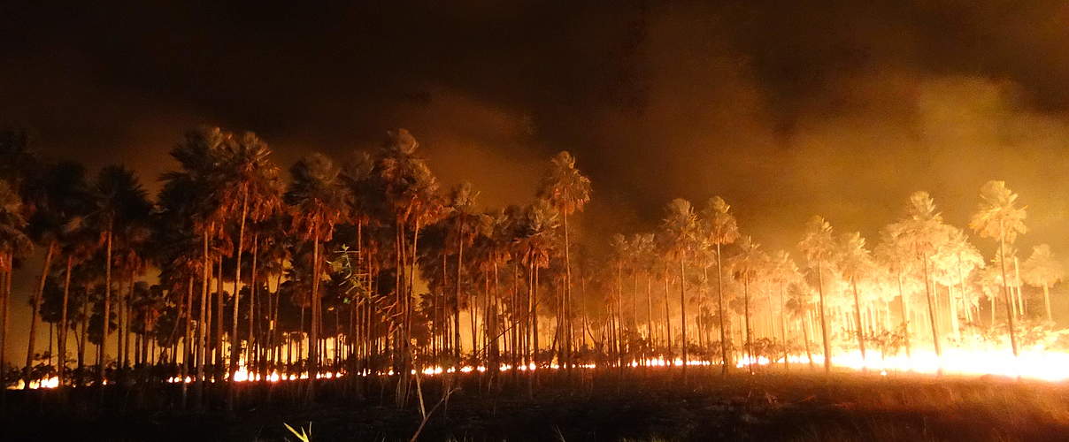 Feuer in Bolivien © Suri Rolando Cabrera Barea / WWF Brasilien