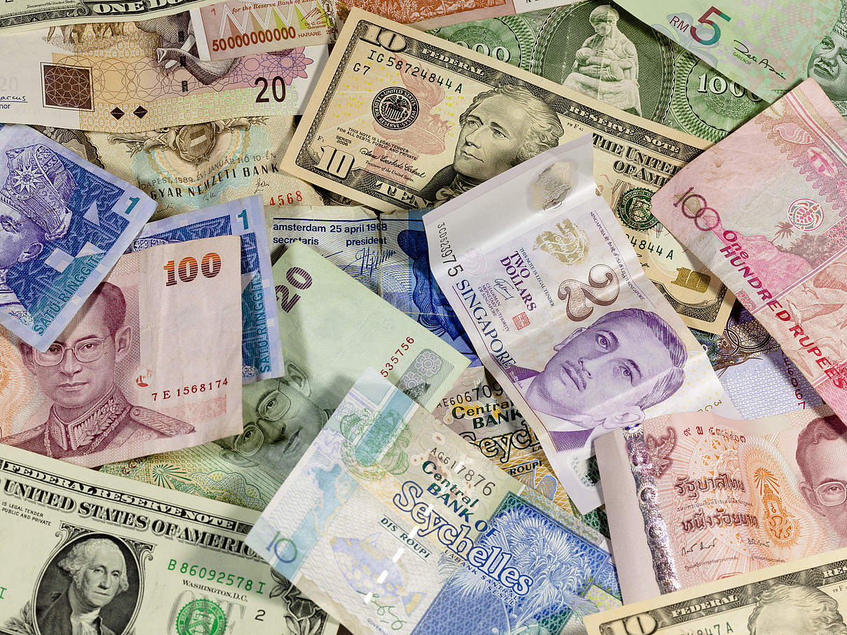 Geldscheine verschiedener Währungen © Shutterstock / Tilo G / WWF