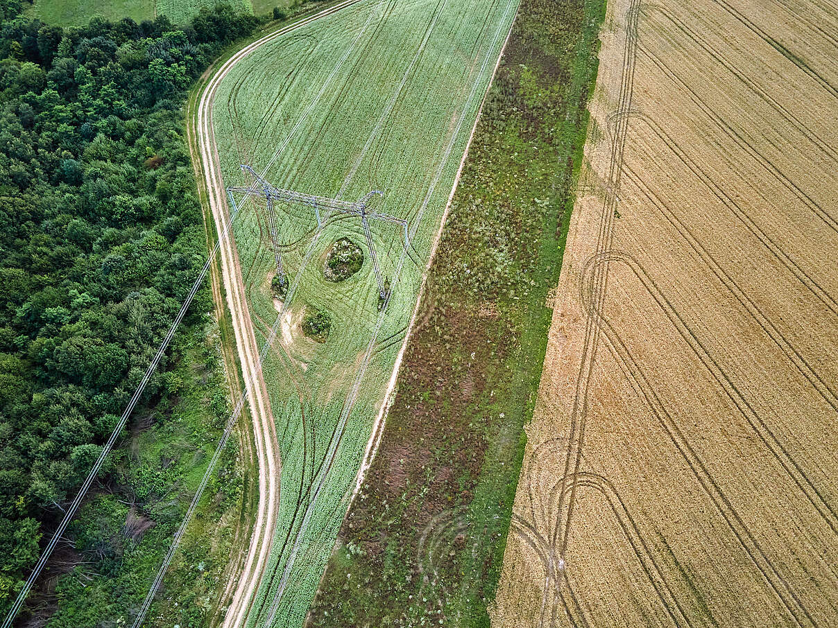 Luftaufnahme einer Landschaft mit bewirtschafteten Feldern